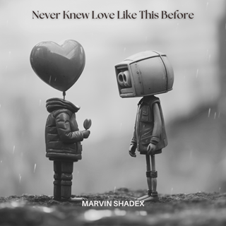 Never Knew Love Like This Before by Marvin Shadex Download