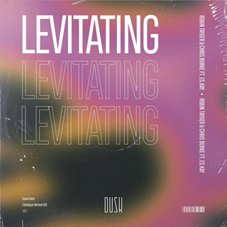 Levitating by Robin Tayger & Chris Burke Download