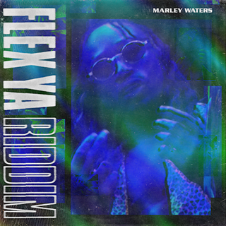 Flex Ya by Marley Waters ft Morah Love Download