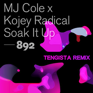Soak It Up by MJ Cole & Kojey Radical Download