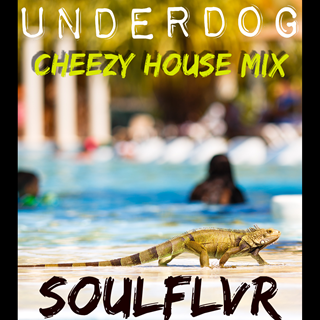 Underdog by Soulflvr Download