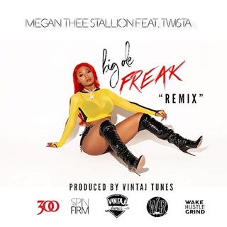 Big Ole Freak by Megan Thee Stallion ft Twista Download