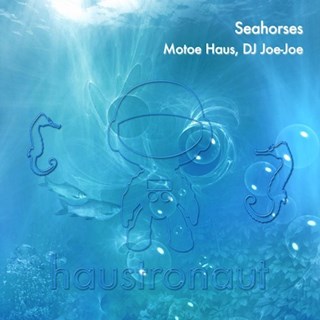 Seahorses by Motoe Haus ft DJ Joe Joe Download
