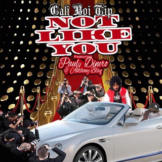 Not Like You by Cali Boi Tip ft Pauly Dinero Download
