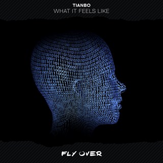 What It Feels Like by Tianbo Download