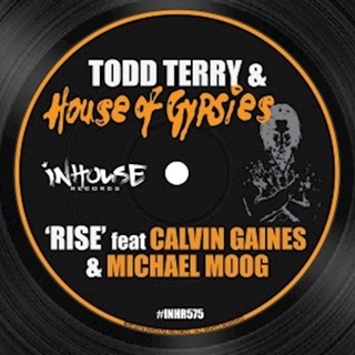 Rise by Todd Terry & House Of Gypsies Download