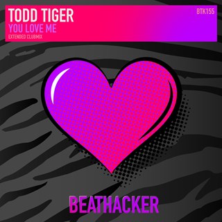 You Love Me by Todd Tiger Download
