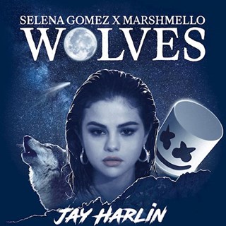 Wolves by Selena Gomez & Marshmello Download