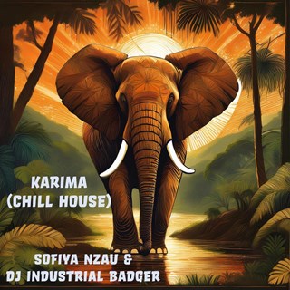 Karima by Sofiya Nzau & DJ Industrial Badger Download