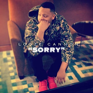 Sorry by Looze Cannon Download