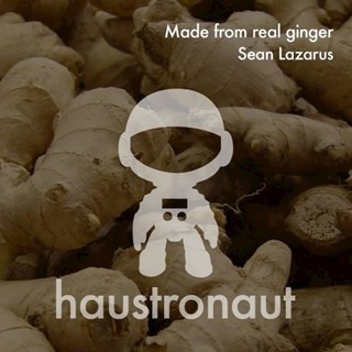 Made From Real Ginger by Sean Lazarus Download