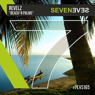 Beach N Palms by Revelz Download