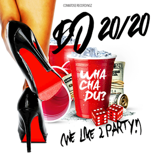 Whachadu We Like 2 Party by DJ 2020 Download