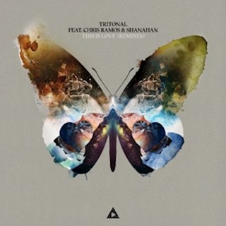 This Is Love by Tritonal ft Chris Ramos & Shanahan Download