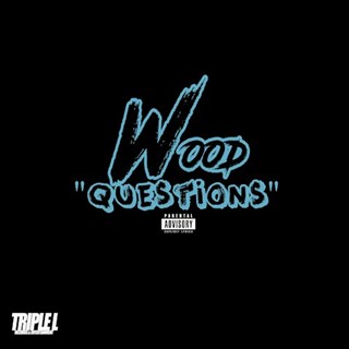 Questions by H Wood Download