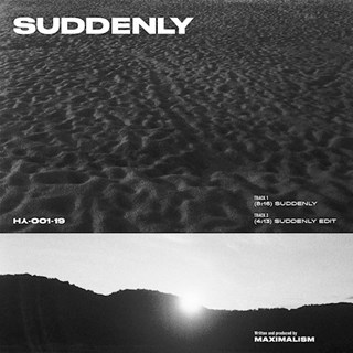 Suddenly by Maximalism Download