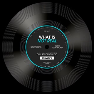 What Is Not Real by Igor Pumphonia Download
