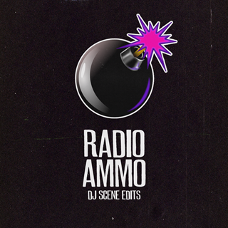 About Damn Time by Lizzo X Tujamo Download