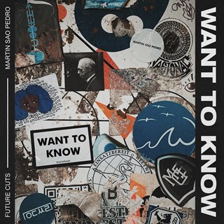 Want To Know by Martin Sao Pedro Download