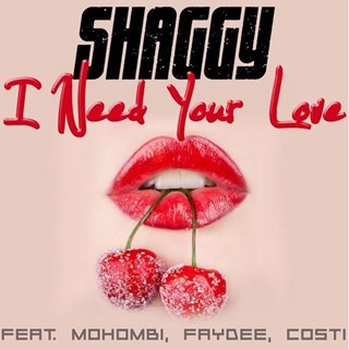 Habibi by Shaggy ft Mohombi, Faydee & Costi Download