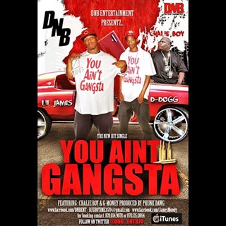 You Aint Gangsta by DNB ft Chalie Boy Download
