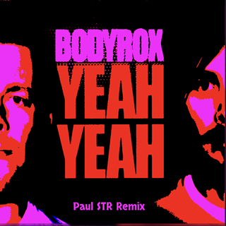 Yeah Yeah by Bodyrox ft Luciana Download