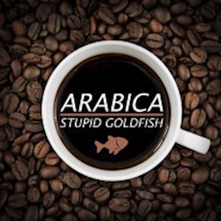Arabica by Stupid Goldfish Download