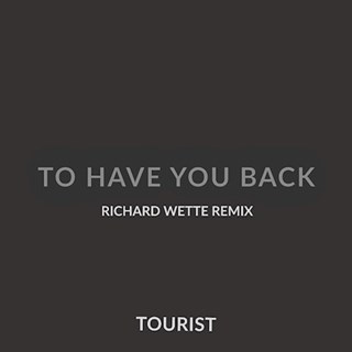 Have You Back by Tourist Download