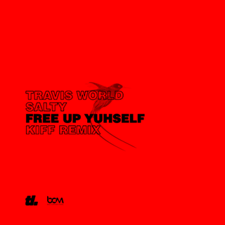 Free Up Yuhself by Salty & Travis World Download