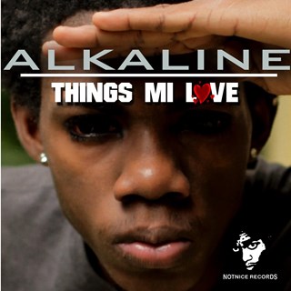 Things Mi Like by Alkaline Download