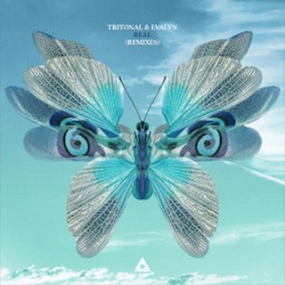 Real by Tritonal ft Evalyn Download