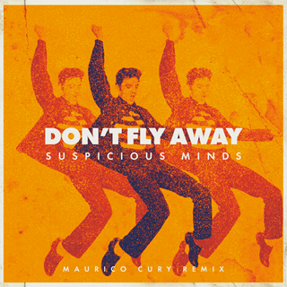 Dont Fly Away by Mauricio Cury Remix Download