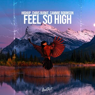 Feel So High by High Up, Chris Burke & Cammie Robinson Download