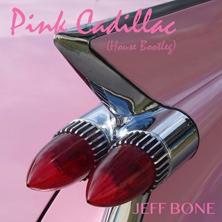 Pink Cadillac by Natalie Cole Download