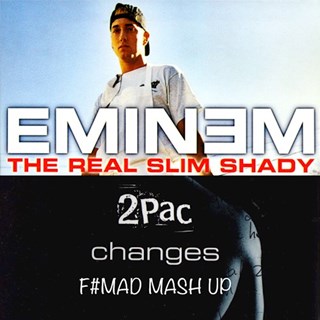 Slim Changes by Tupac vs Eminem Download