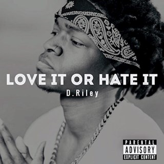 Love It Or Hate It by D Riley Download
