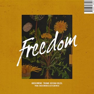 Freedom by Greg Owens ft Trigno & Keisha Soleil Download