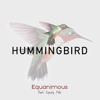 Hummingbird by Equanimous ft Cyndy Fike Download