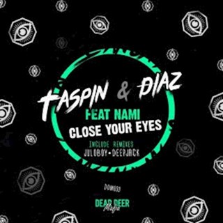 Lose Your Eyes by Taspin & Diaz ft Nami Download