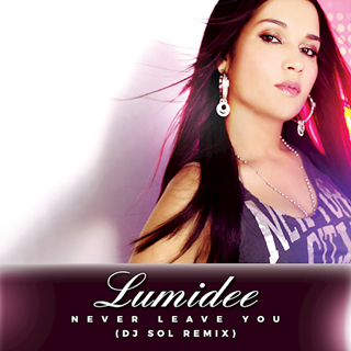 Never Leave You by Lumidee Download
