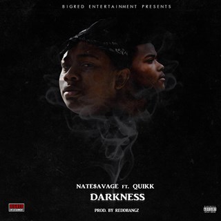 Darkness by Nate Savage Download