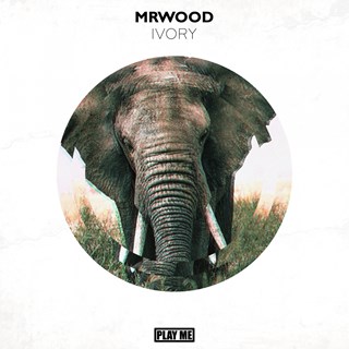 Ivory by Mrwood ft Your Noise Download