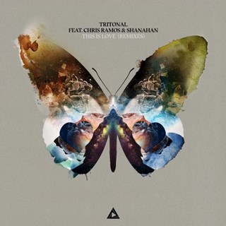 This Is Love by Tritonal, Shanahan & Chris Ramos Download