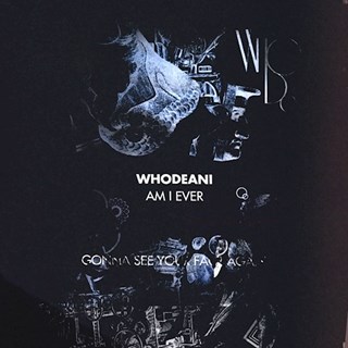 Am I Ever Gonna See Your Face Again by Whodeani Download