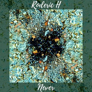 Never by Roderic H Download
