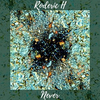 Never by Roderic H Download