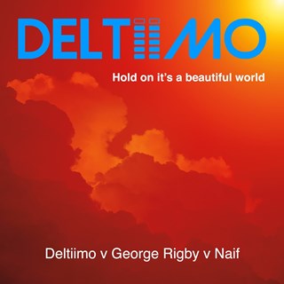 Hold On Its A Beautiful World by Deltiimo, George Rigby & Naif Download