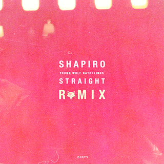 Straight Remix by Shapiro & Young Wolf Hatchlings Download