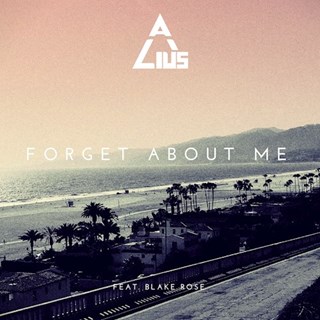 Forget About Me by Alius ft Blake Rose Download