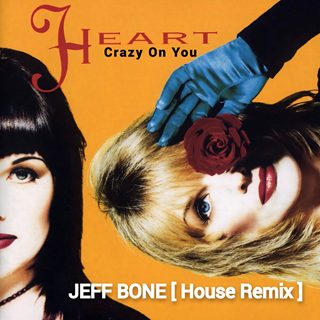 Crazy On You by Heart Download